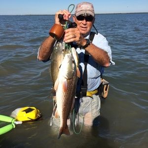 Meet your Posher, Bill